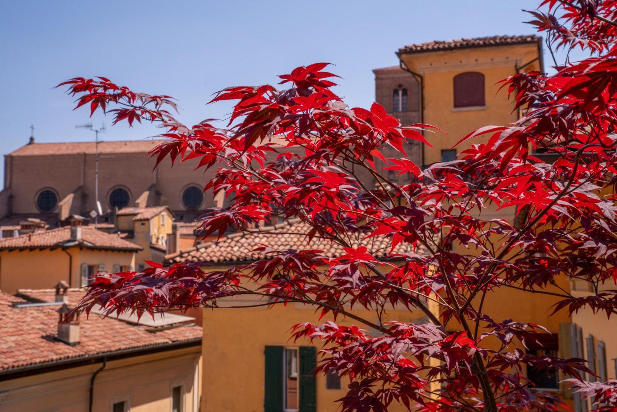 Piazza Maggiore Santa Margherita B&B Bolonha Quarto foto